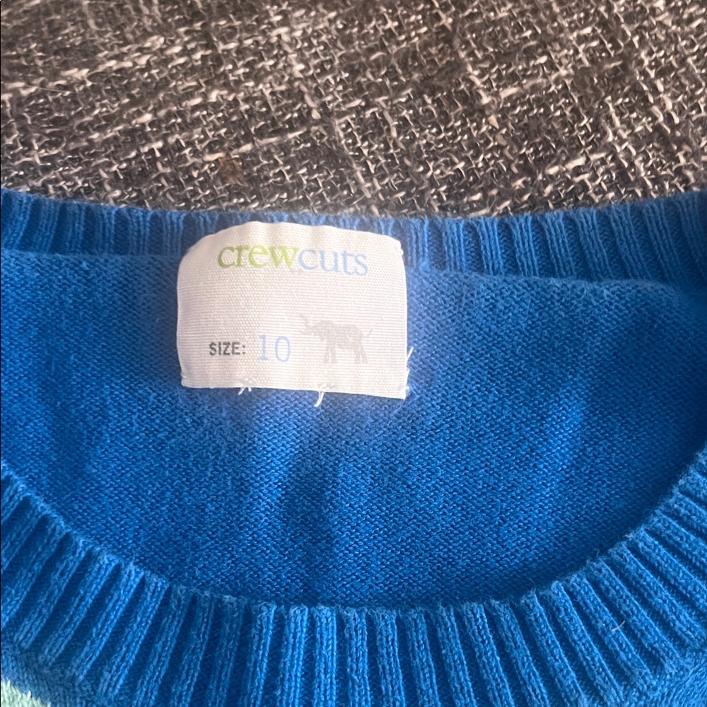 Crewcuts Vibrant Blue Women's Sweater